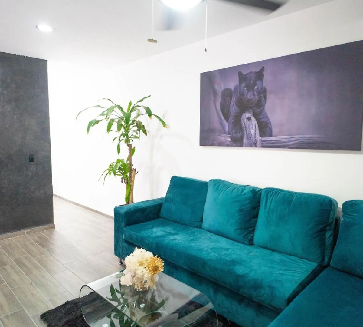 Encanto Y Confort Acogedora Casita En Merida Casa Puma Mexico