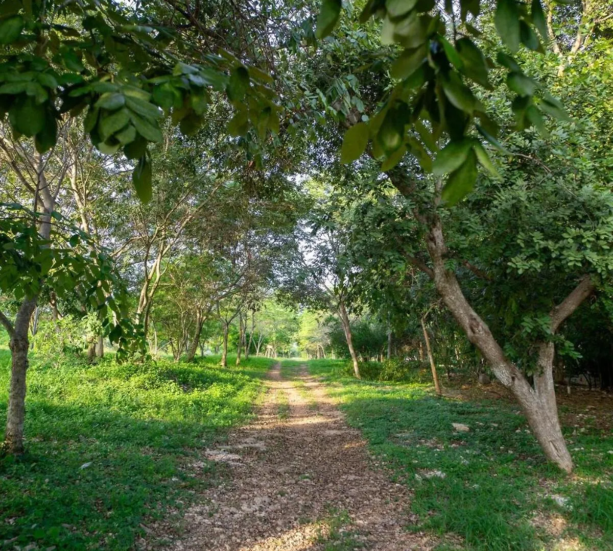 Encanto Y Confort Acogedora Casita En Merida Casa Puma 0*,  Mexico