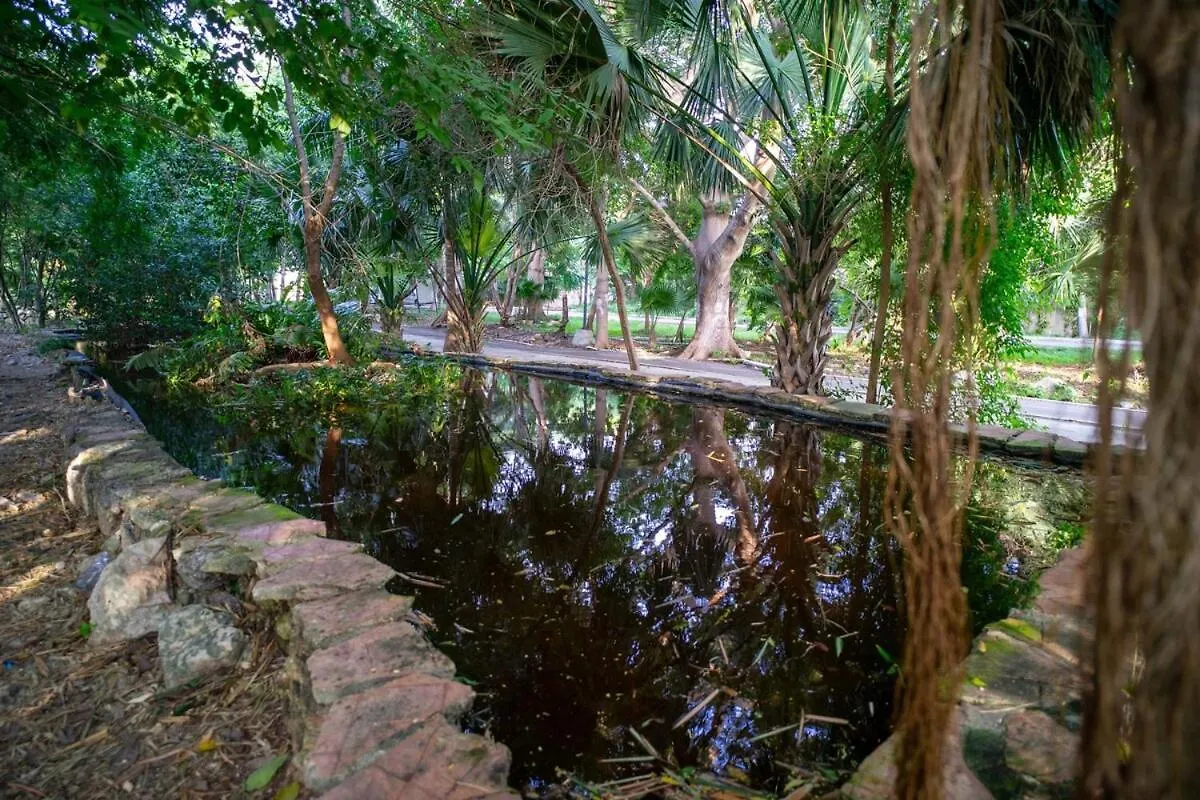 Encanto Y Confort Acogedora Casita En Merida Casa Puma 0*,